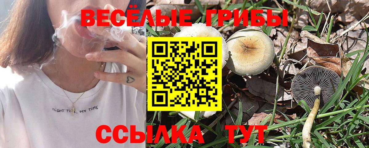 Алейск  Галлюциногенные грибы GOLDEN TEACHER  Вход с VPN 
