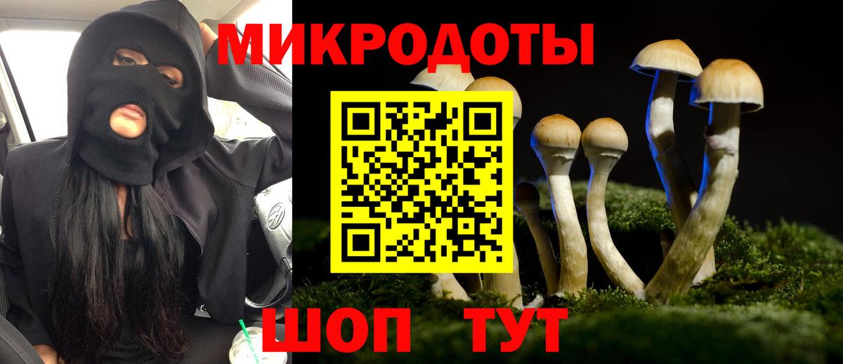 Псилоцибиновые грибы мухоморы Алейск