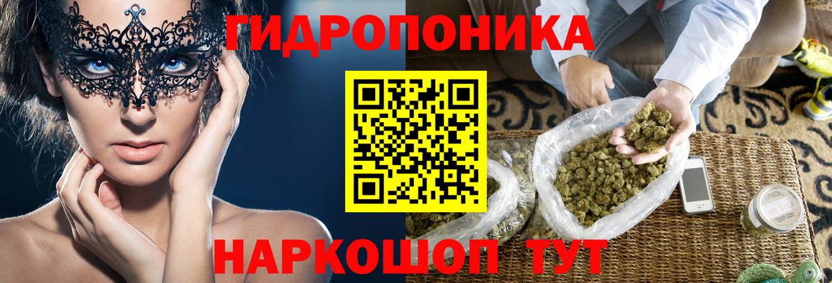 Бошки марихуана THC 21%  Вход с VPN  Шишки марихуана LSD WEED  Конопля семена  Канабис Bruce Banner  Алейск 